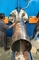 Máy hàn ống / cực nhẹ hiệu suất cao tối đa 600/16000